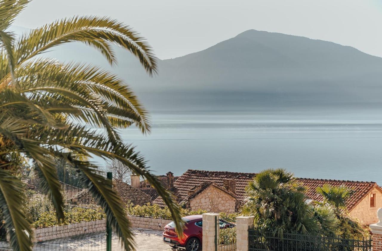 Apartament Porta Del Mare Kotor Zewnętrze zdjęcie